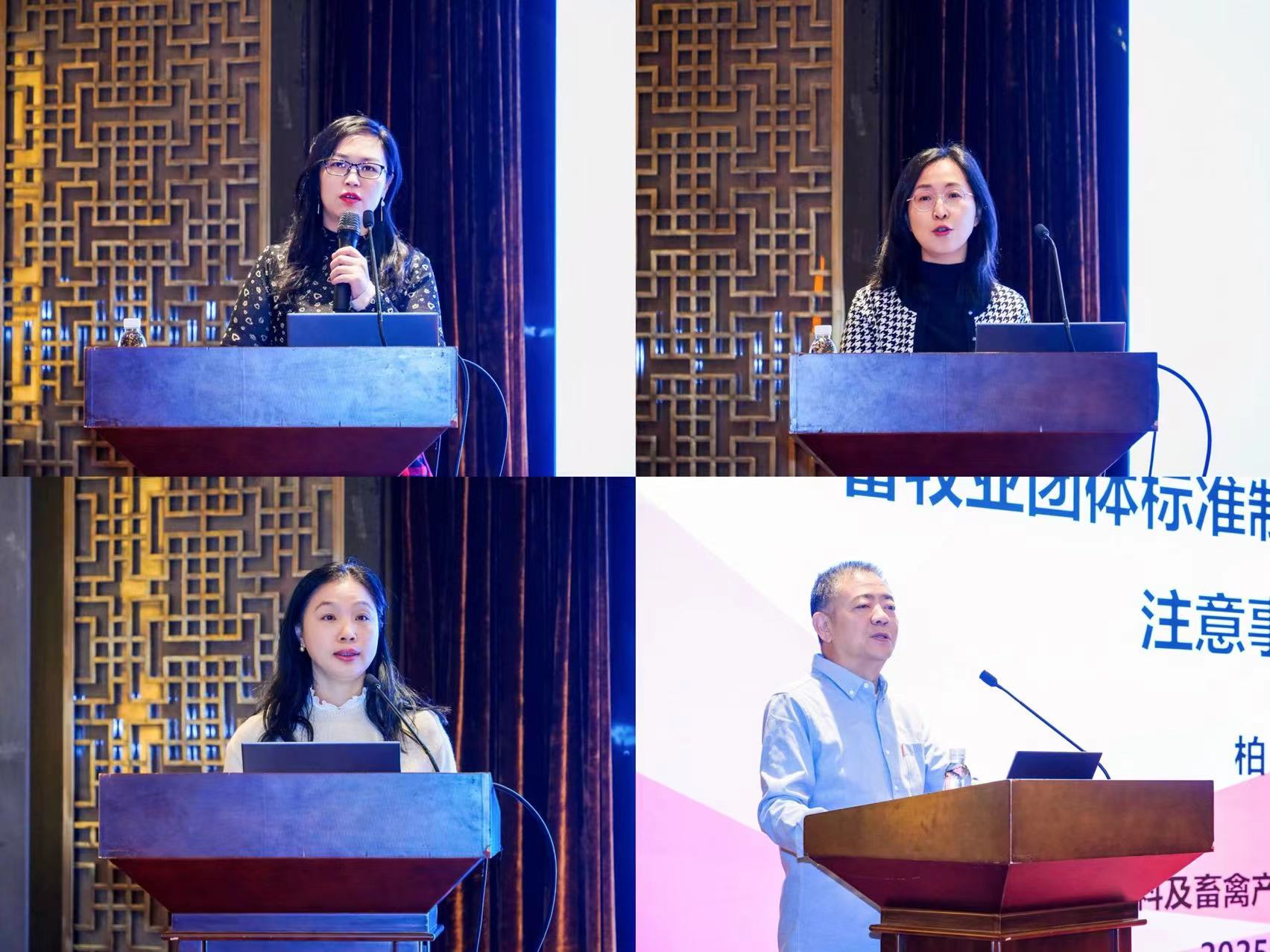 1-251209153TS43 gcgc08»Æ½ð³Ç,hjc26.cc»Æ½ð³Ç¼¯ÍÅ