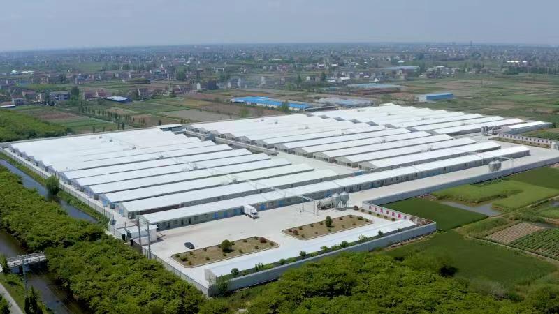 ����Hjc gcgc08����2023���ʮ���ȵ�����