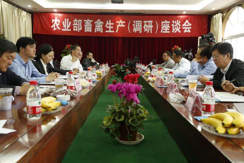 20161028135758431 gcgc08»Æ½ð³Ç,hjc26.cc»Æ½ð³Ç¼¯ÍÅ