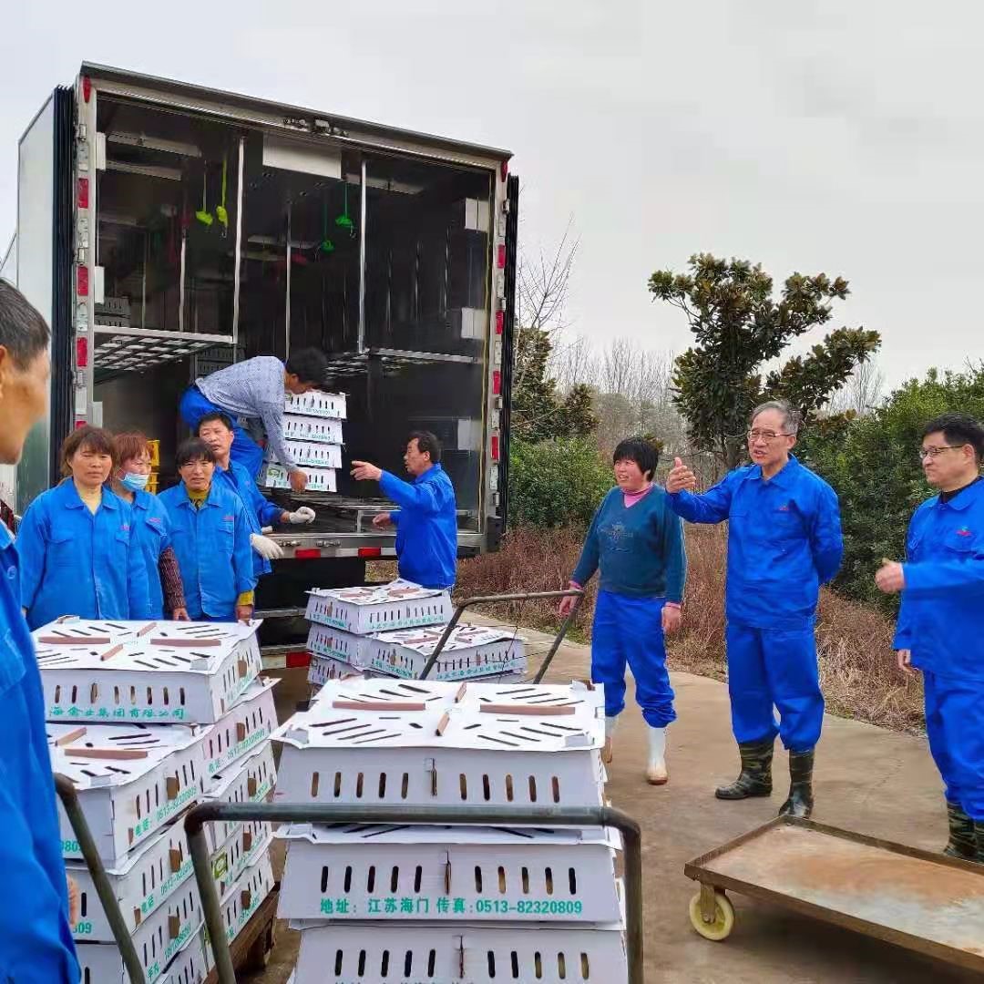 gcgc08�ƽ��,hjc26.cc�ƽ�Ǽ���