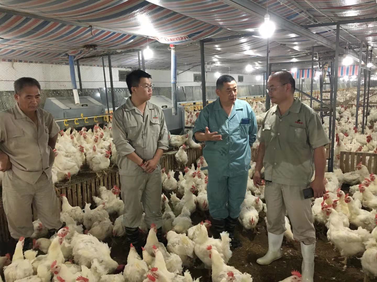 gcgc08�ƽ��,hjc26.cc�ƽ�Ǽ���