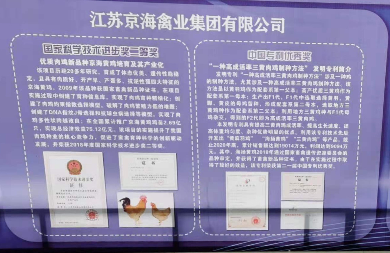 1-21052Q00534F5 gcgc08»Æ½ð³Ç,hjc26.cc»Æ½ð³Ç¼¯ÍÅ