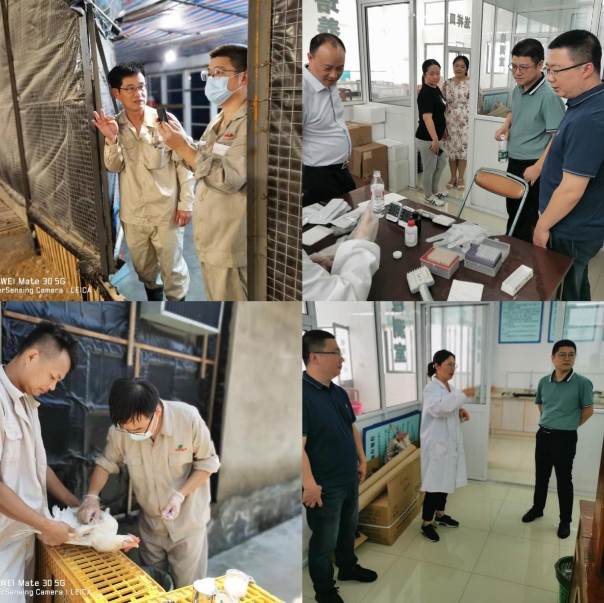 gcgc08�ƽ��,hjc26.cc�ƽ�Ǽ���