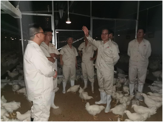 1-210Q2101K3957 gcgc08黄金城,hjc26.cc黄金城集团