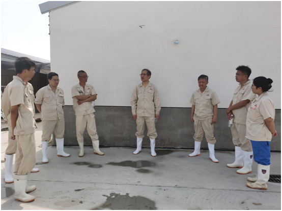 1-210Q2101P9D6 gcgc08黄金城,hjc26.cc黄金城集团