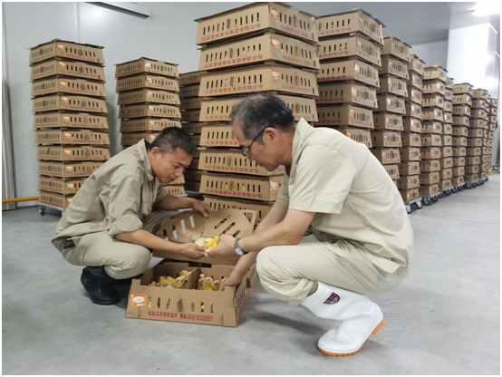 1-210Q2101R5238 gcgc08黄金城,hjc26.cc黄金城集团