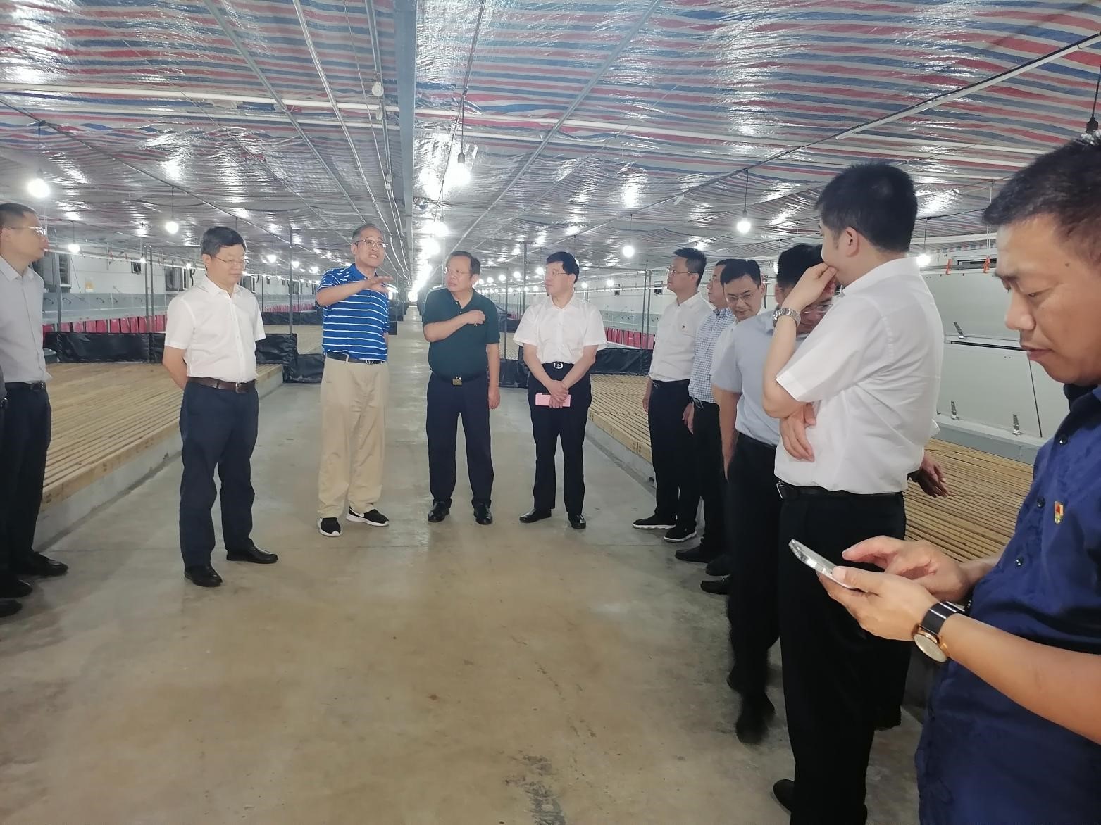 gcgc08�ƽ��,hjc26.cc�ƽ�Ǽ���