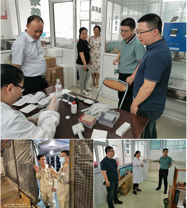 gcgc08�ƽ��,hjc26.cc�ƽ�Ǽ���