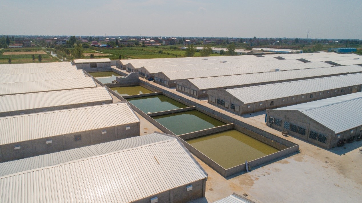 1-22022Q41044Q8 gcgc08黄金城,hjc26.cc黄金城集团