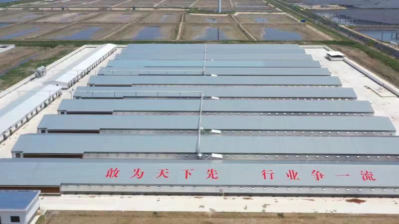 gcgc08�ƽ��,hjc26.cc�ƽ�Ǽ���