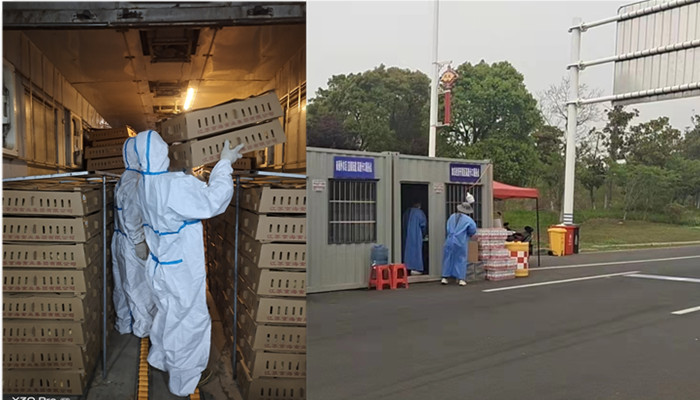 1-22042G63629505 gcgc08黄金城,hjc26.cc黄金城集团