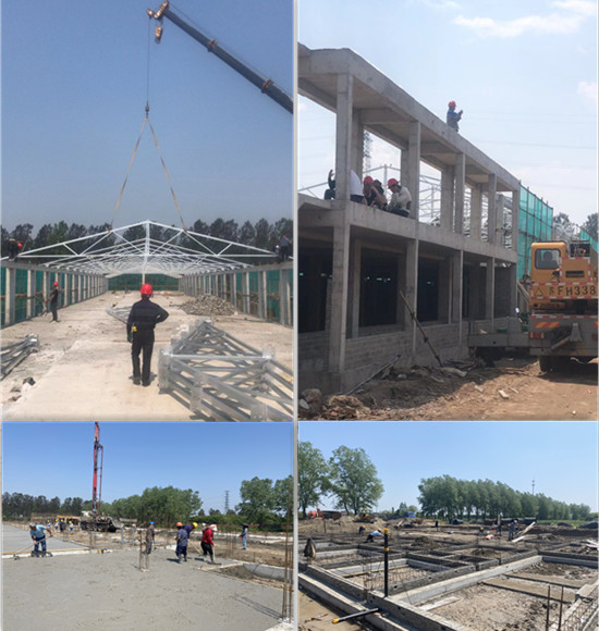 1-2205201G033433 gcgc08»Æ½ð³Ç,hjc26.cc»Æ½ð³Ç¼¯ÍÅ