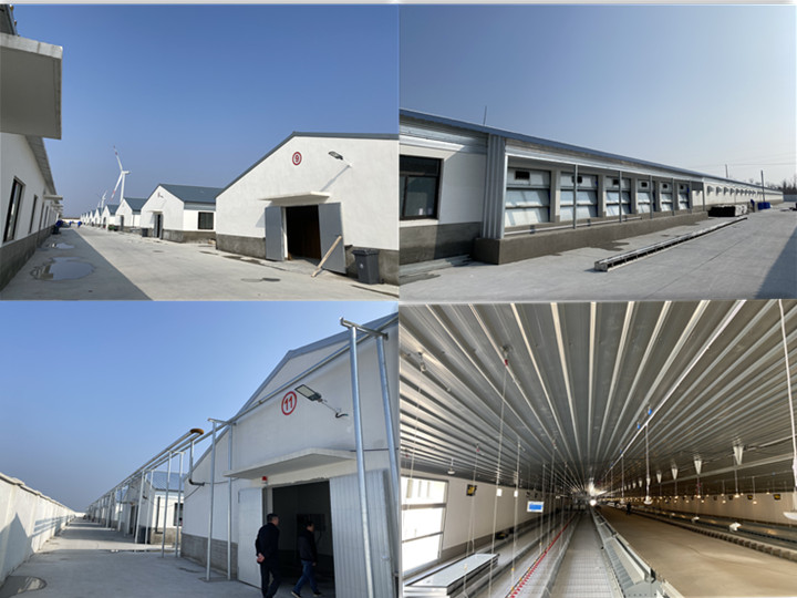 1-2205201G442Z0 gcgc08»Æ½ð³Ç,hjc26.cc»Æ½ð³Ç¼¯ÍÅ