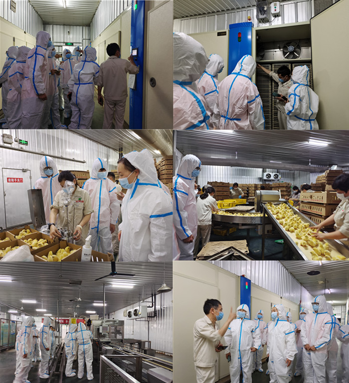 1-2206010Q42YV gcgc08黄金城,hjc26.cc黄金城集团