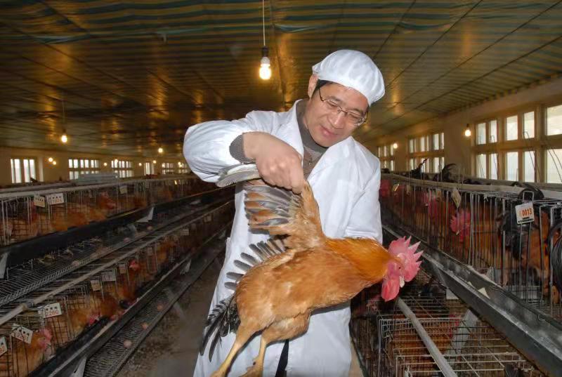 1-2206100S533248 gcgc08»Æ½ð³Ç,hjc26.cc»Æ½ð³Ç¼¯ÍÅ