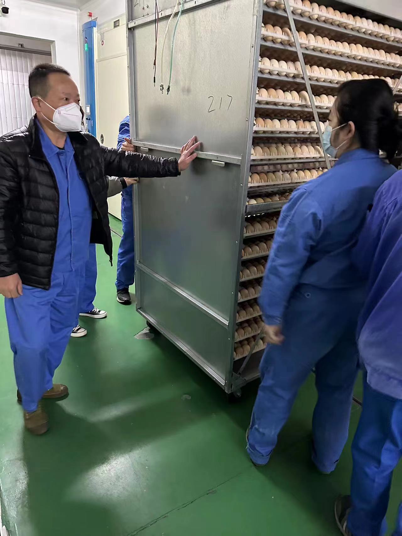 1-221223104I2M6 gcgc08»Æ½ð³Ç,hjc26.cc»Æ½ð³Ç¼¯ÍÅ