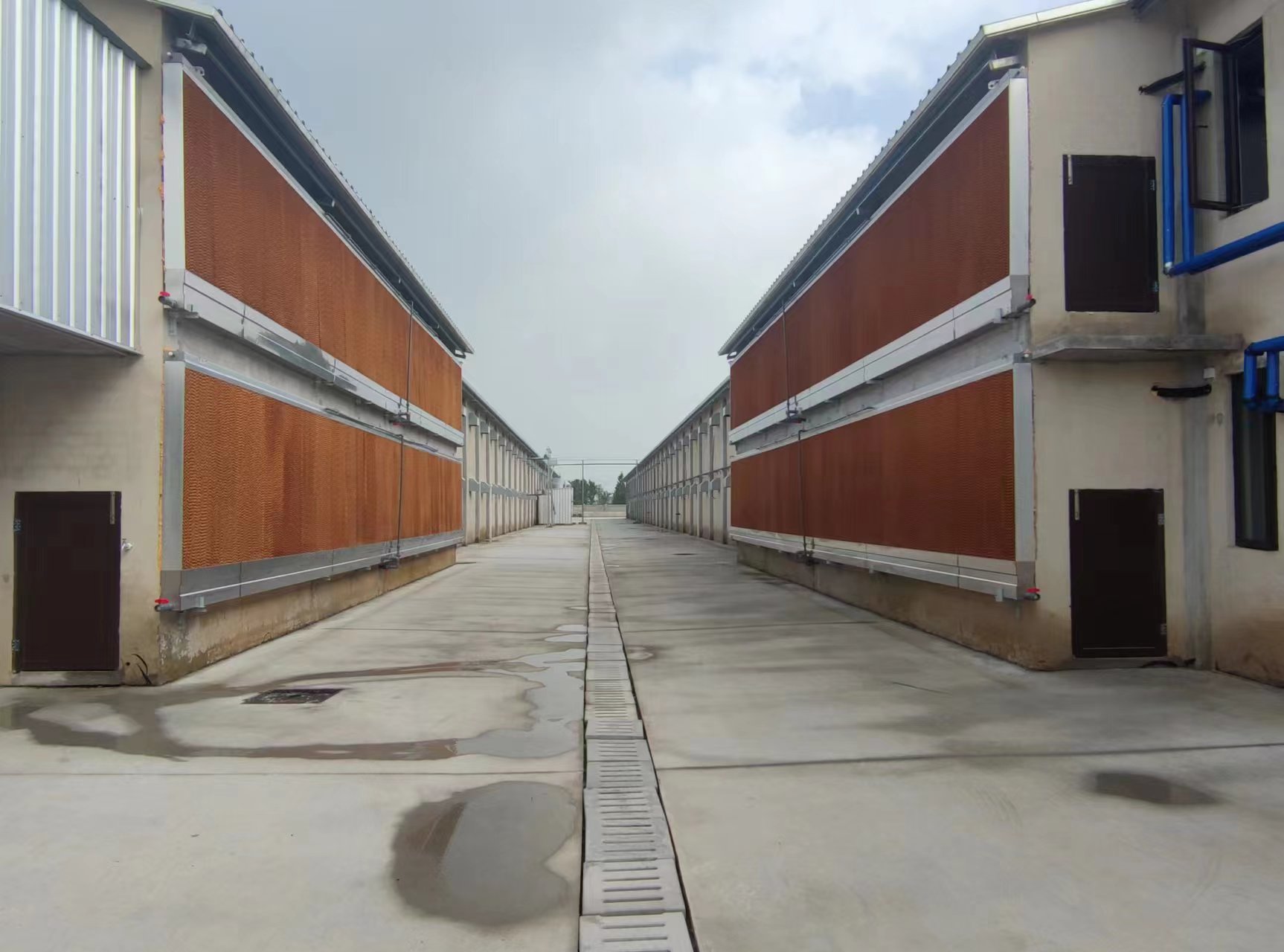 gcgc08�ƽ��,hjc26.cc�ƽ�Ǽ���