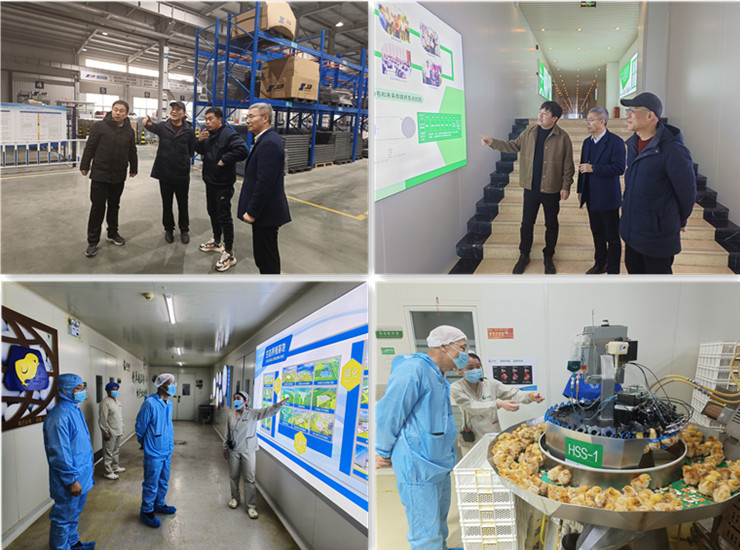 gcgc08�ƽ��,hjc26.cc�ƽ�Ǽ���