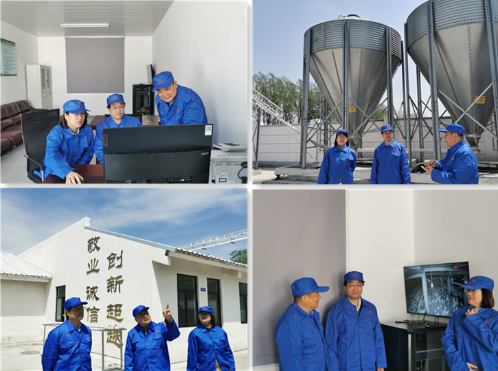 1-240412144624564 gcgc08黄金城,hjc26.cc黄金城集团