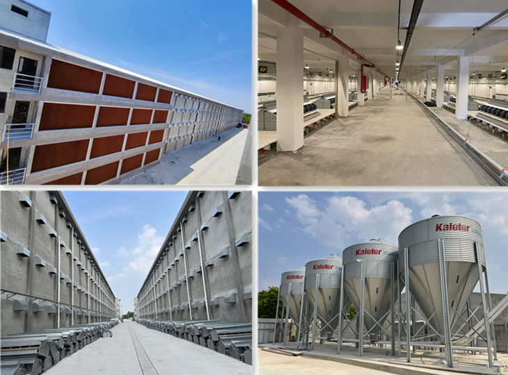 gcgc08�ƽ��,hjc26.cc�ƽ�Ǽ���