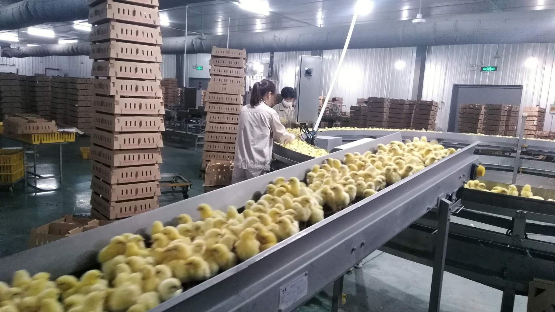 gcgc08�ƽ��,hjc26.cc�ƽ�Ǽ���