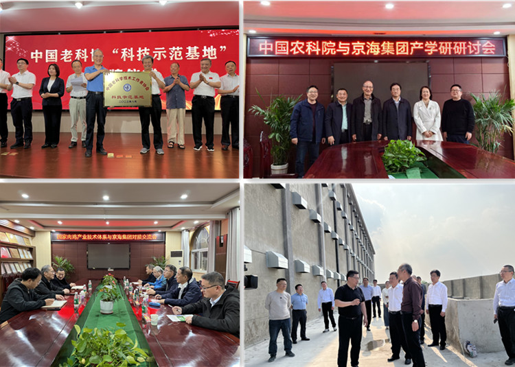 1-241231142023129 gcgc08»Æ½ð³Ç,hjc26.cc»Æ½ð³Ç¼¯ÍÅ