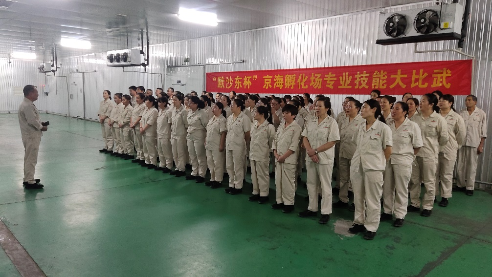 gcgc08�ƽ��,hjc26.cc�ƽ�Ǽ���