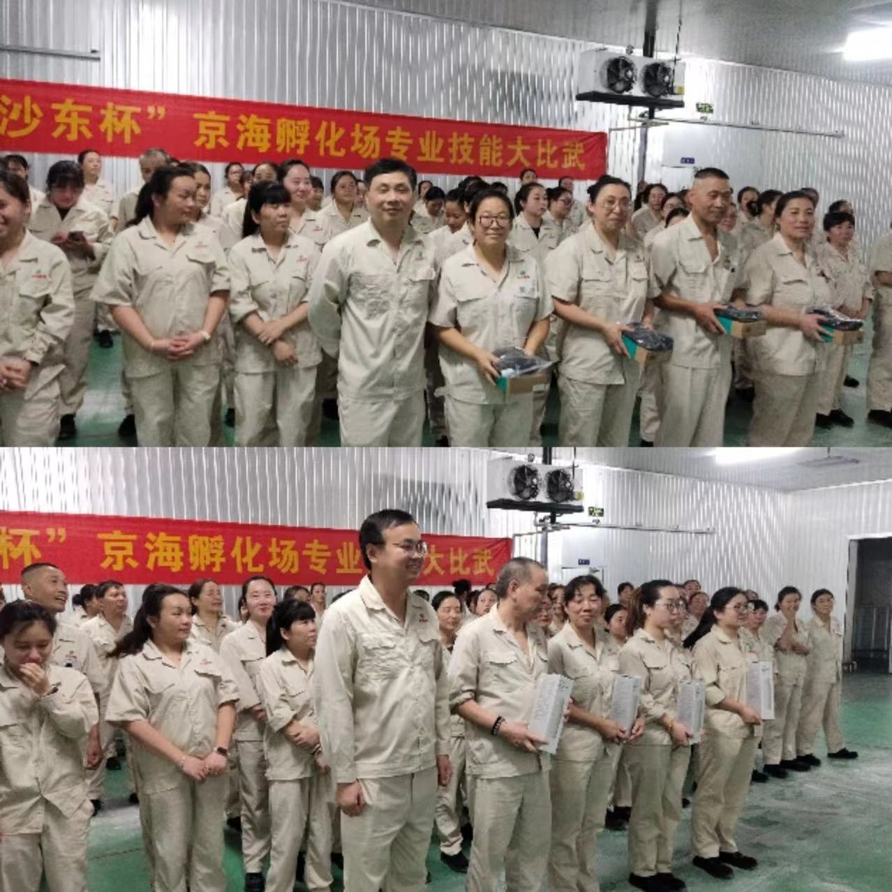 gcgc08�ƽ��,hjc26.cc�ƽ�Ǽ���