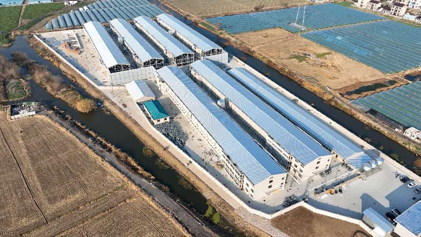 gcgc08�ƽ��,hjc26.cc�ƽ�Ǽ���