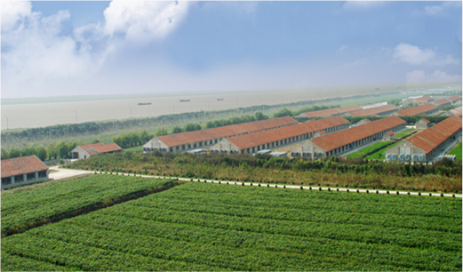 Hjc gcgc08集团公司种鸡场鸟瞰图.png Hjc gcgc08集团公司种鸡场鸟瞰图.png