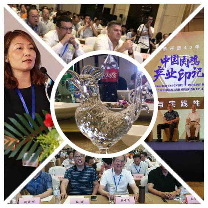 clip_image010.jpg 注明: mmexport1563145732227