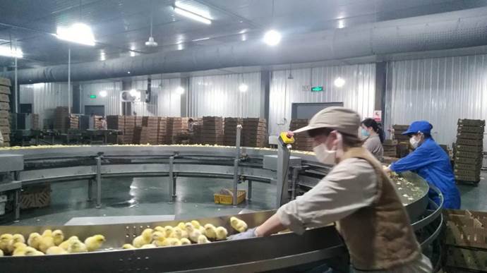 clip_image004.jpg ×¢Ã÷: mmexport1555331329023