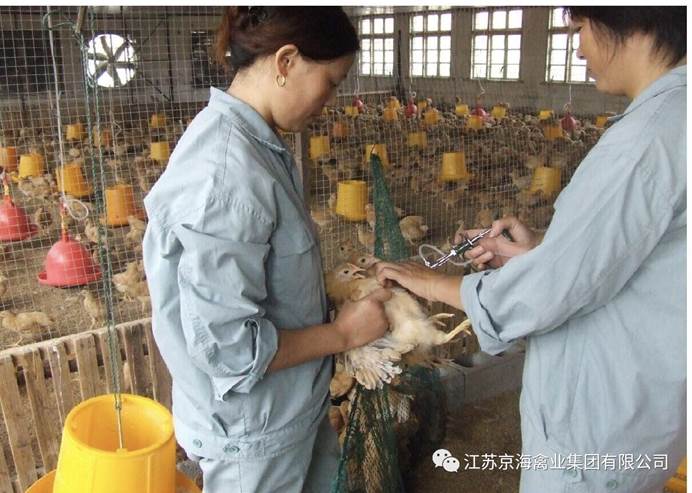 clip_image004.jpg ×¢Ã÷: C:\Users\Administrator\Desktop\΢ÐÅͼƬ_20200629141913.jpg